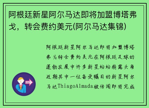 阿根廷新星阿尔马达即将加盟博塔弗戈，转会费约美元(阿尔马达集锦)