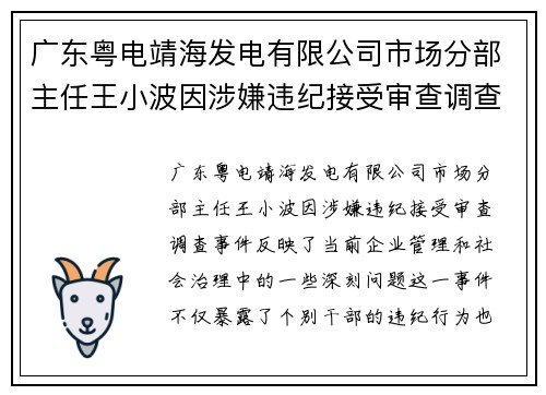 广东粤电靖海发电有限公司市场分部主任王小波因涉嫌违纪接受审查调查